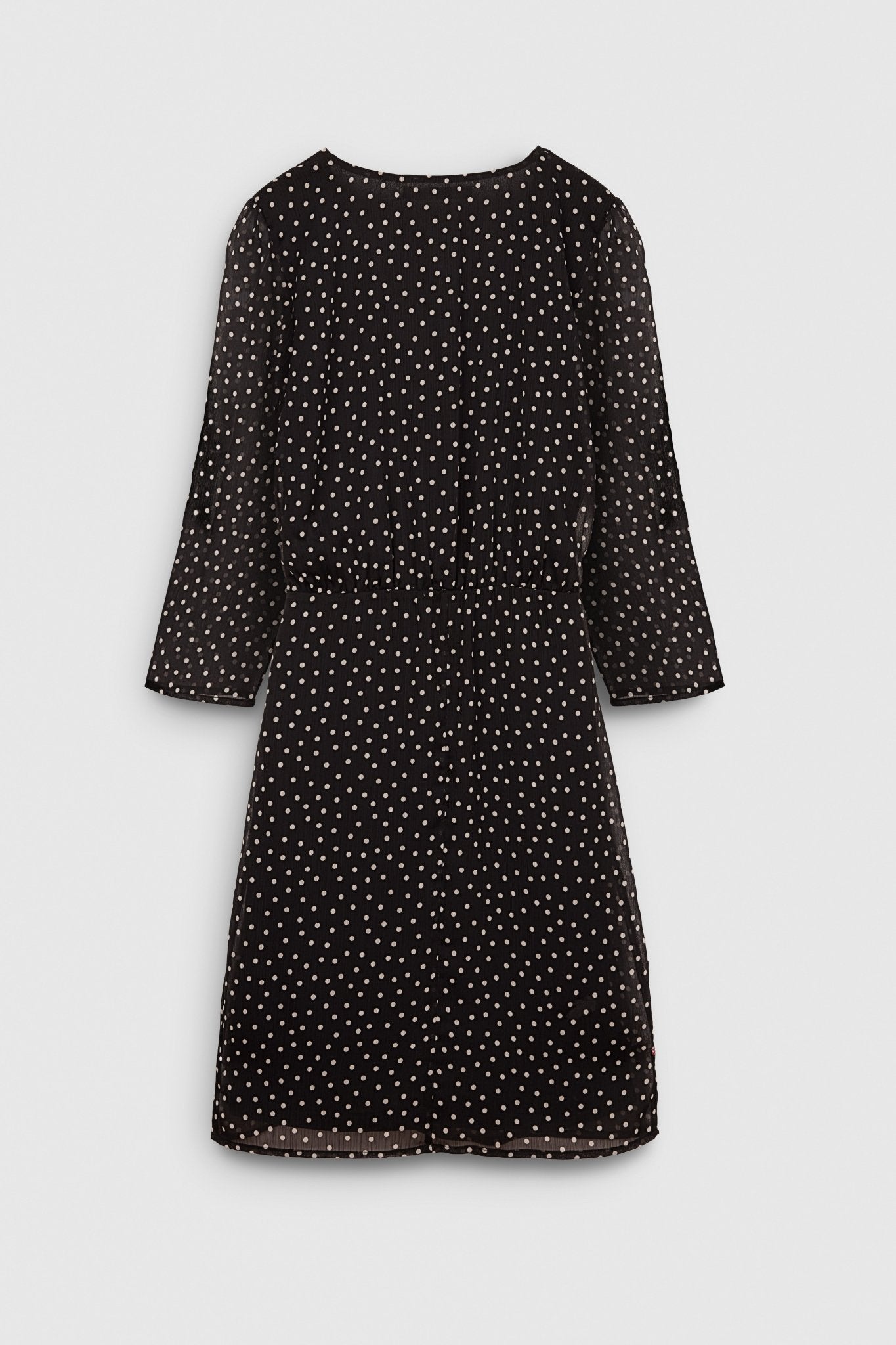 Robe REAGAN POIS NOIR - School Rag