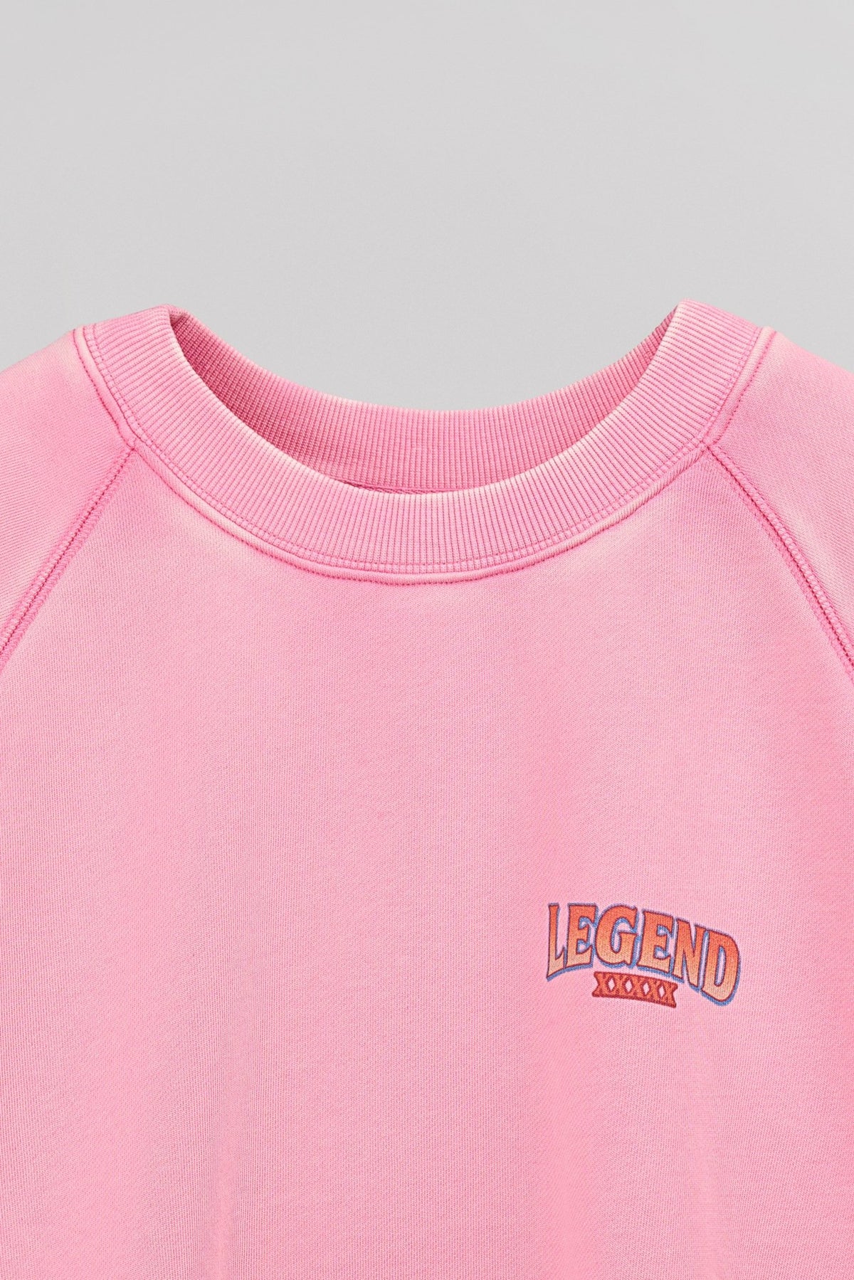 Sweat délavé vintage LEGEND - School Rag